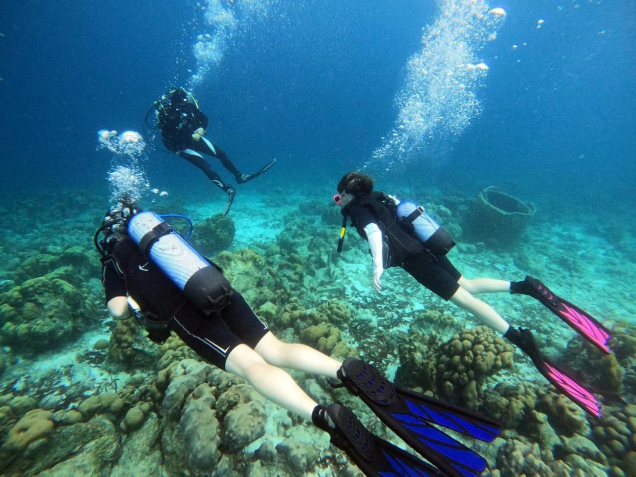 Tropical Divers Resort Playa Kültér fotó